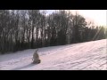 Labrador Retrievers loving the snow