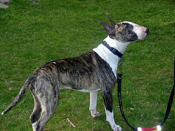 Stunning looking boy