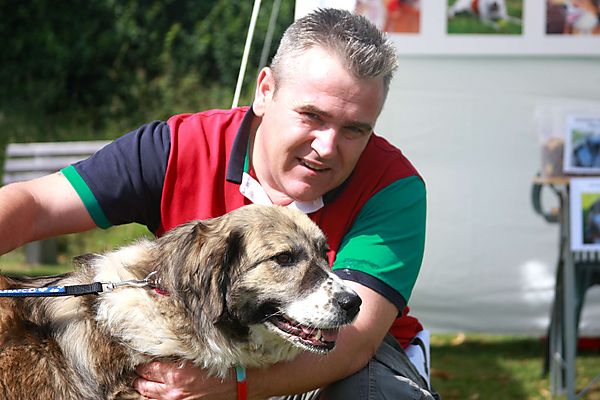 Cranbourne Annual Companion Dog Show