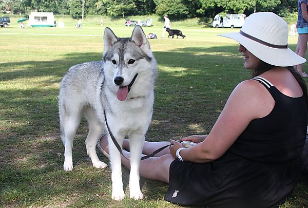 Cranbourne Annual Companion Dog Show