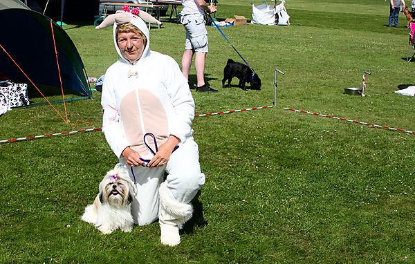 Cranbourne Annual Companion Dog Show