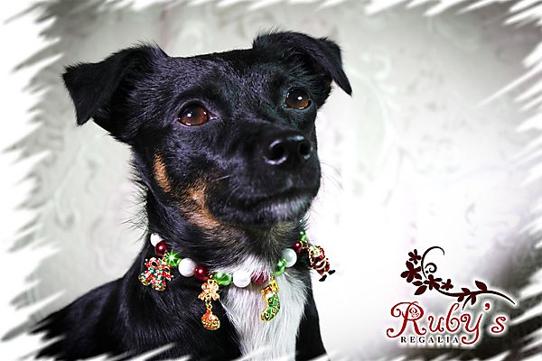 Ruby wearing a Christmas necklace!