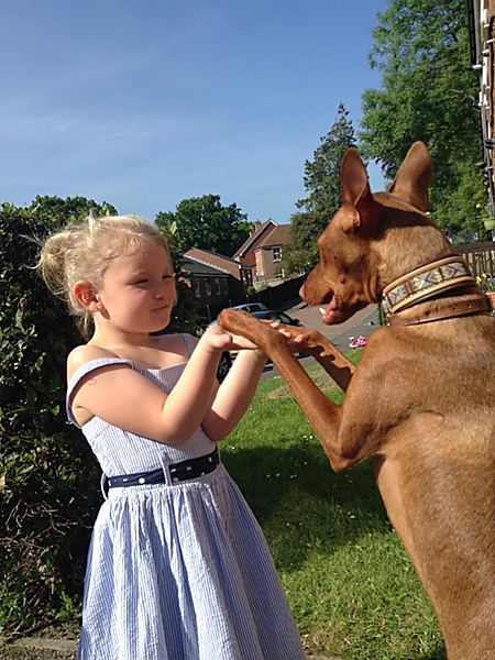 Dave & Macey