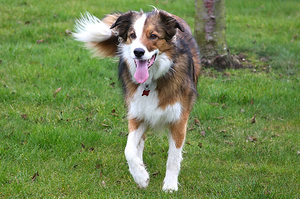 Always ready for a game