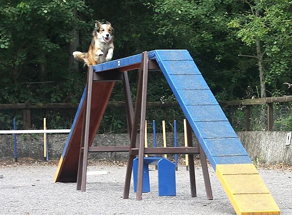 Agility - the Walker