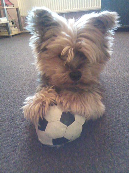 It's My ball.. I'm in goal