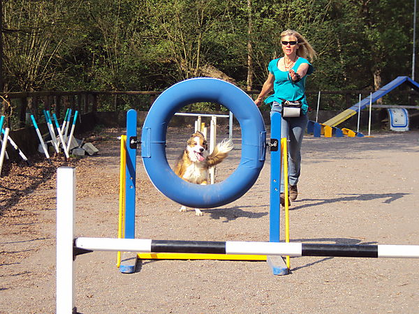 Tyre Jump at Agility