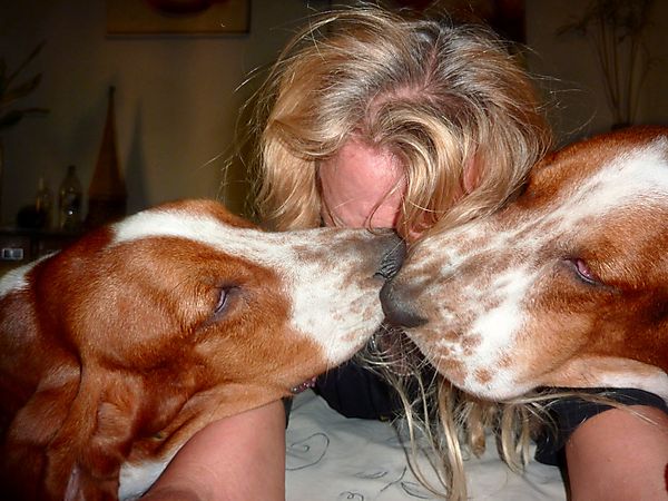 Early morning kisses