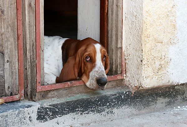 Can't decide whether to be in or out