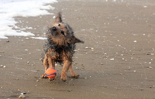 Punch stopping ball to shake