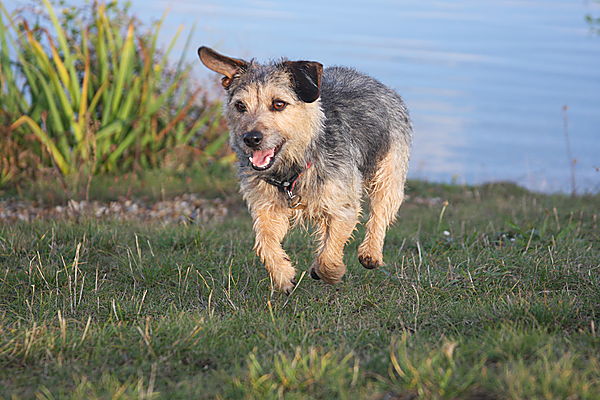 Walkies at Dorney Lake