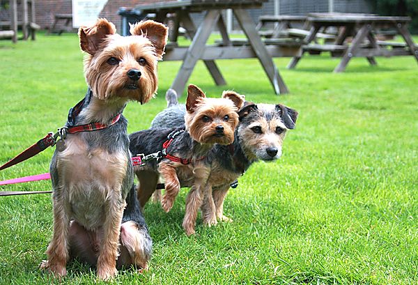 Is that our Mum over there