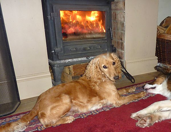 Warming up by the fire