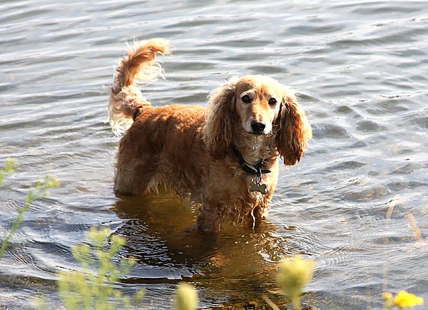 That's as far as I am going