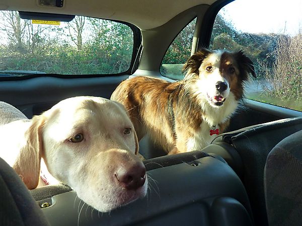 Are we nearly there?