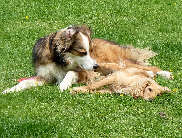 Snuggled up in the sun