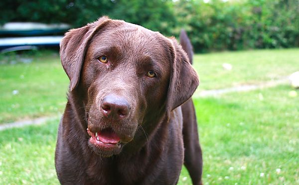 I'm listening but I don't quite understand