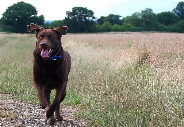 Mabel having so much fun