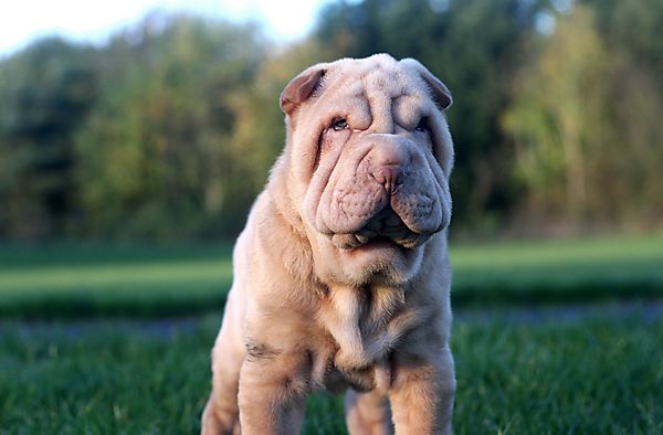 This is my happy face