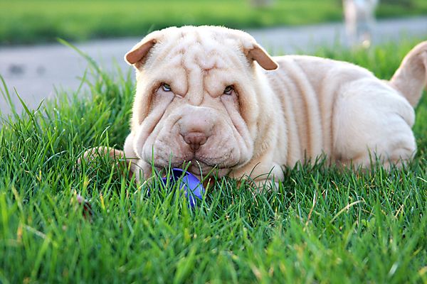Resting in between ball game