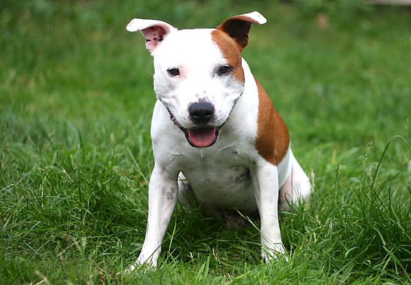 Ready for the next game