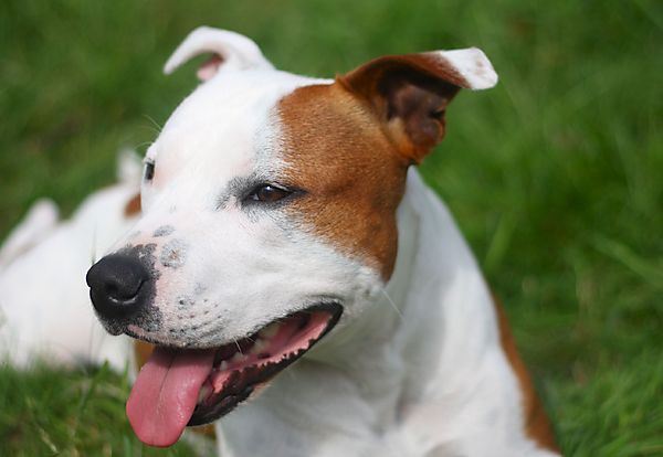 Relaxing in between games
