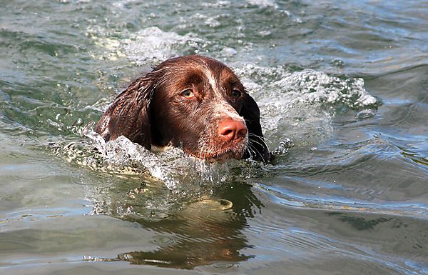 Ivy has just learnt she can swim