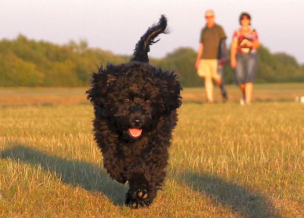 Sunset walk at Dorney Lake