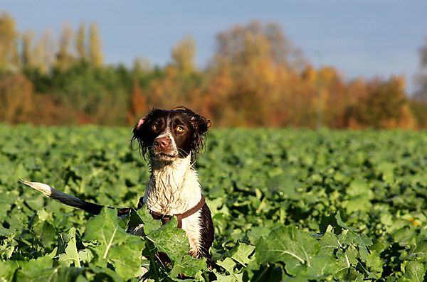 Next stick is for me
