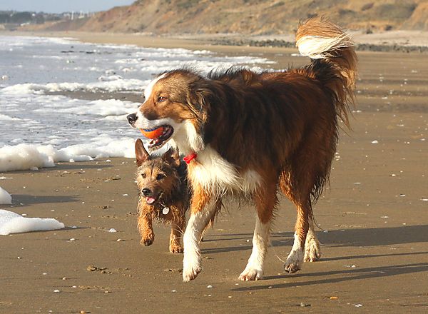 Beach walking