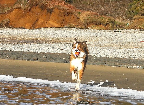 Beach Ball games with Woody
