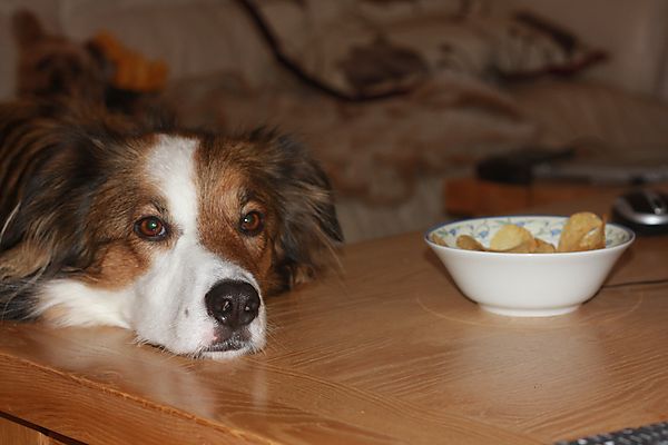 If I look really cute will you give me one