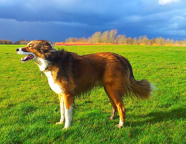 Whatever the weather...