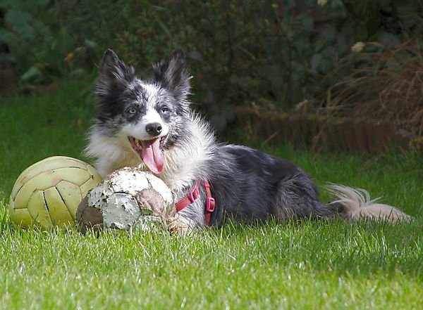 One ball is not enough