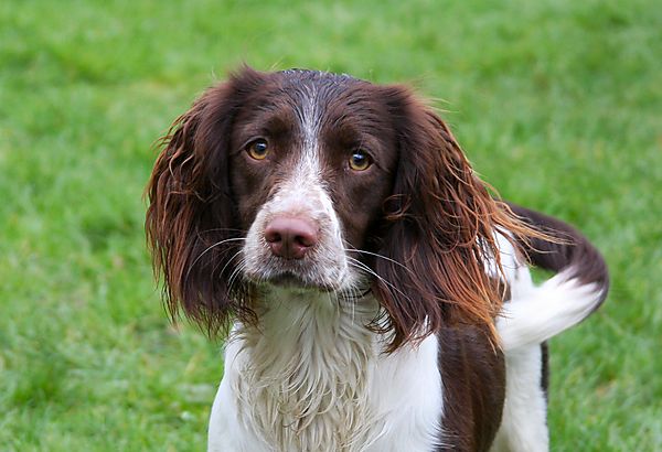 Ready for the next game