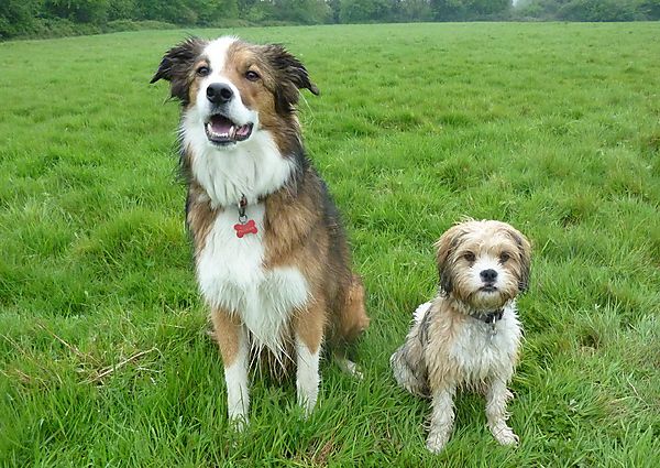 Poppy with big boy Woody