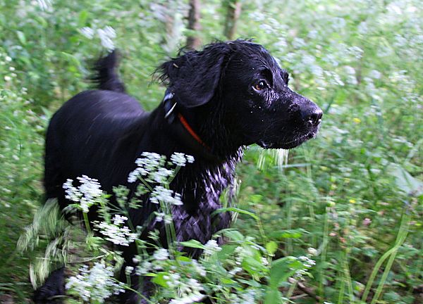 Marley spotted something