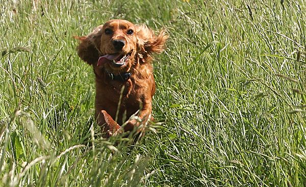 It's a jungle to her