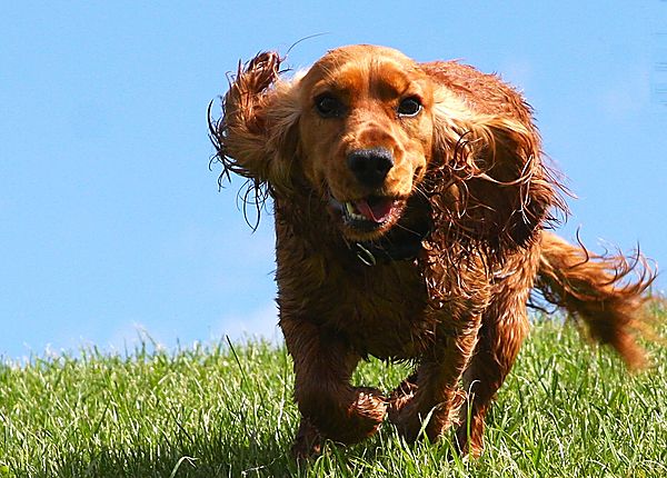 Just about to crash into the camera