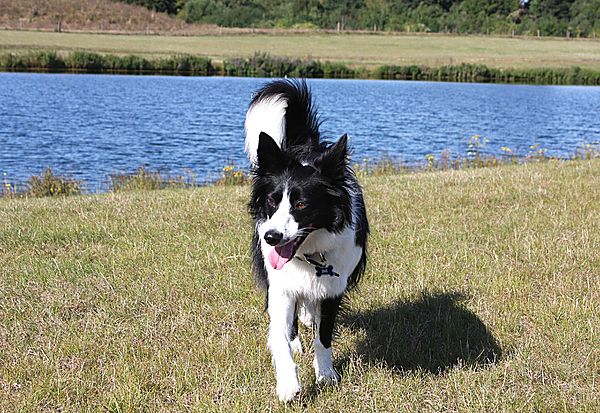Bronte at Dorney Lake