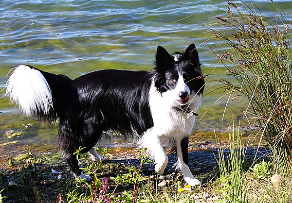 Getting her toes wet