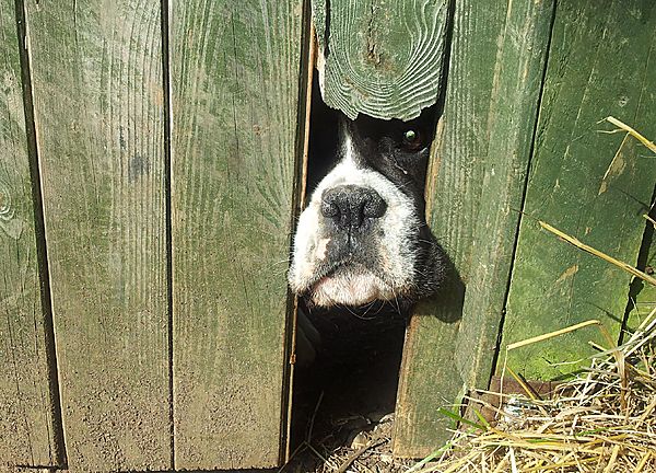 I nose you are there