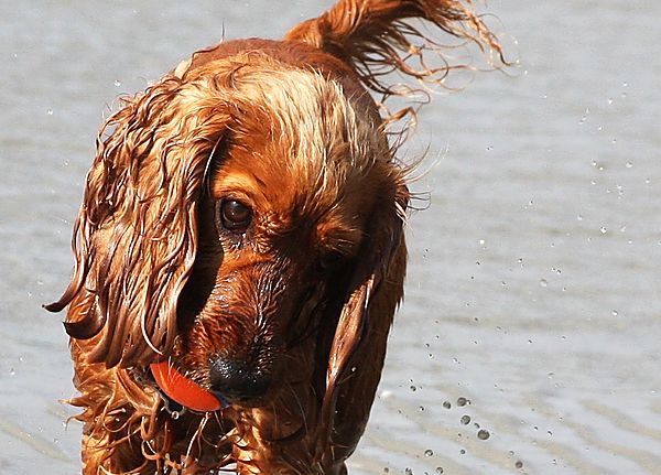 Getting to grips with the ball
