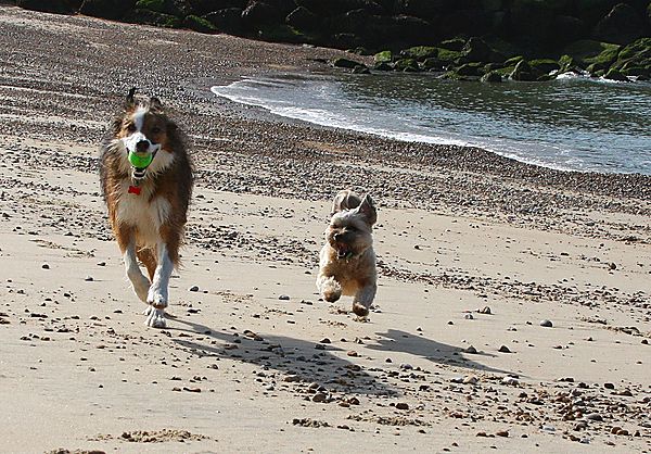 Fun on the beach