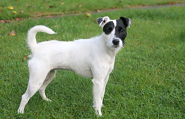 Exploring new surroundings