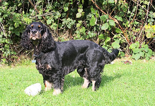 Oskar ready for a ball game