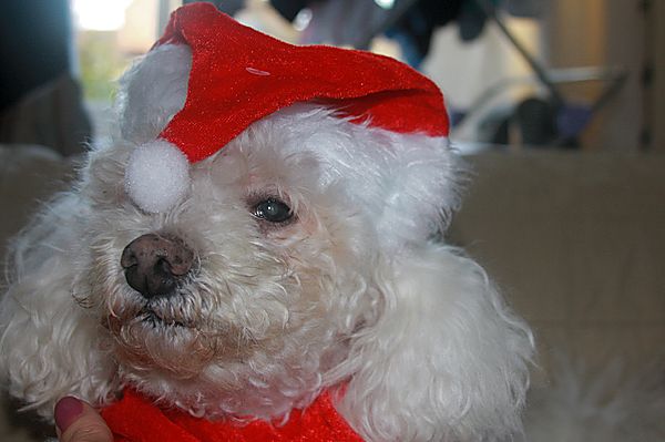 Serbert is not impressed