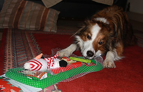 Woody received a Christmas Stocking