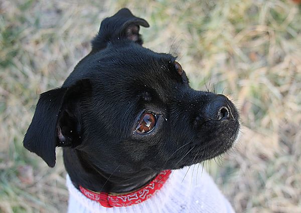 Got a biscuit for me