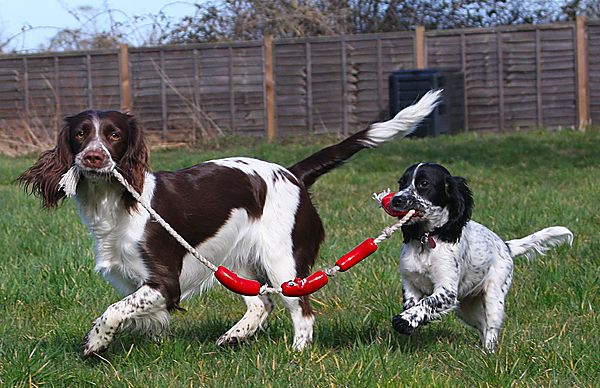 Ivy showing Isla the way